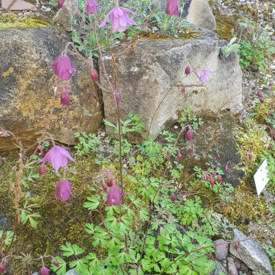 20250504_163350.jpg