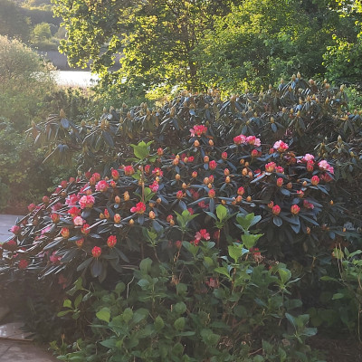 20250504_195817.jpg