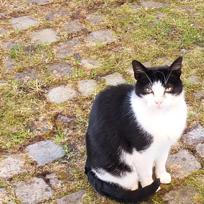 Was macht sie da?