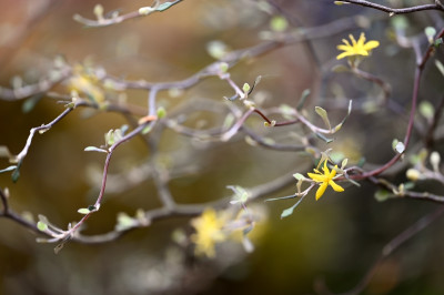 DSC_4134.jpeg