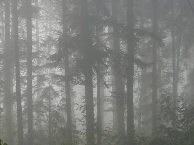 P1160045.jpg