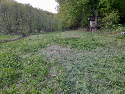 20250508_193616.jpg