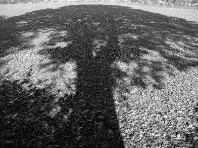 schatten08.jpg