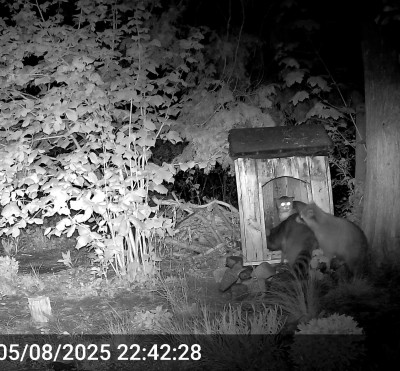 vlcsnap-2025-05-09-11h22m04s379.jpg