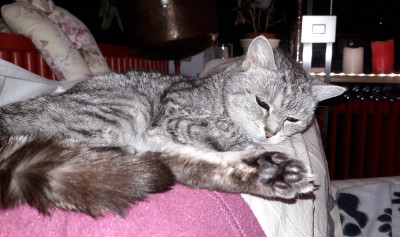 20190205_213952.jpg