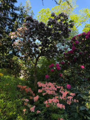 IMG_0297.jpeg