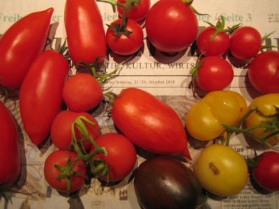 beweisfoto_25_10_08__1186.jpg