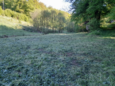 20250510_091427.jpg
