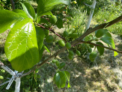 IMG_0193.jpeg