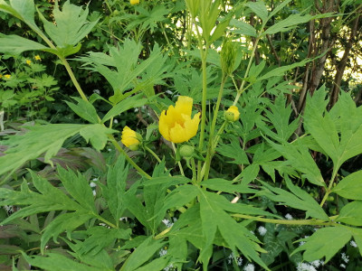IMG_20250513_181752.jpg