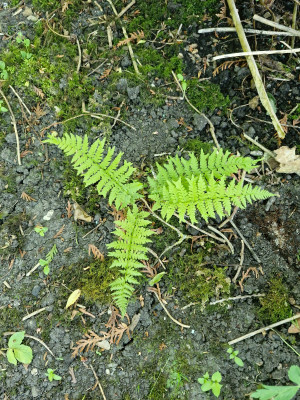 20250514_145206.jpg