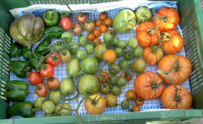 Garten1008.JPG