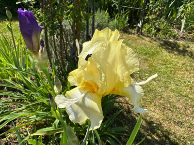 IMG_5080.jpeg