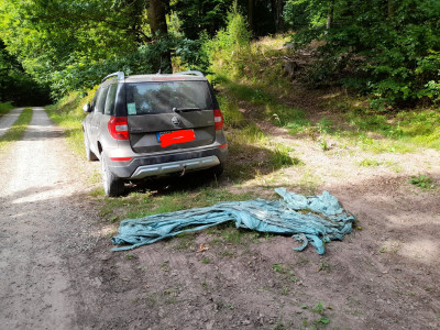 silageausbeuteeintag.jpg