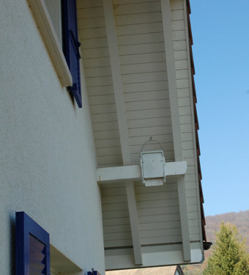Fledermauskasten__40929.jpg
