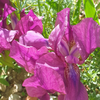 20250515_121719.jpg