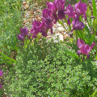 20250515_121712.jpg
