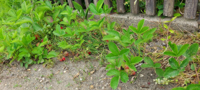 20250516_143838.jpg