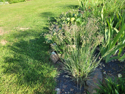 20250516_181956.jpg