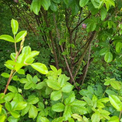 20250517_183721.jpg