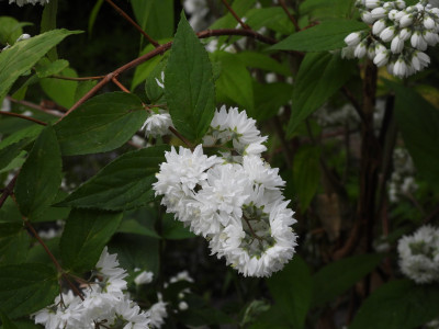 DSCN9322.JPG