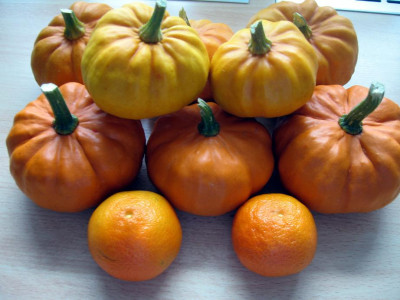 Mandarinen.jpg