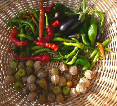ernte_081026.jpg