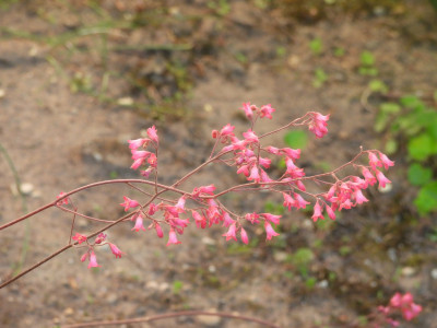 DSCN9373.JPG