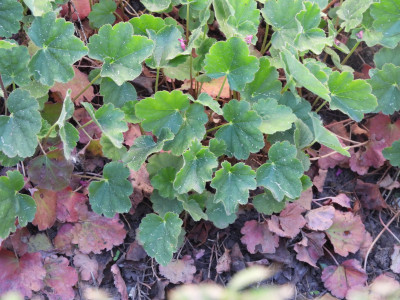 DSCN9375.JPG