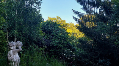 20250520_202157.jpg