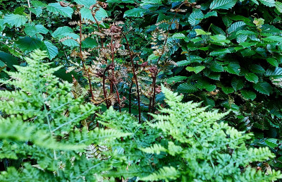 20250522_201532.jpg