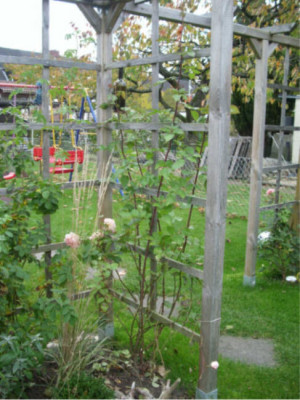 2008.10.13_051.jpg