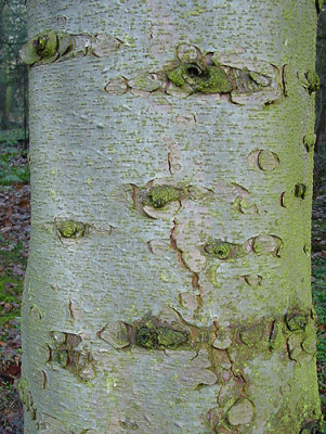 geschichtenerzaehler_02.jpg