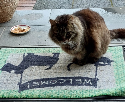 Doch kein &quot;Welcome&quot;