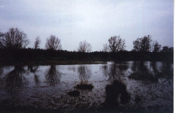 Bild-03.jpg