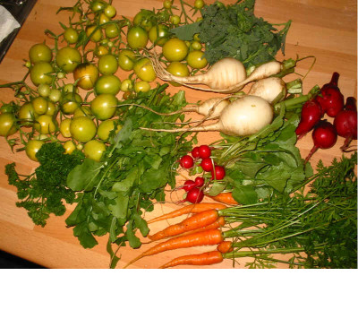 Ernte_29.10.08.jpg