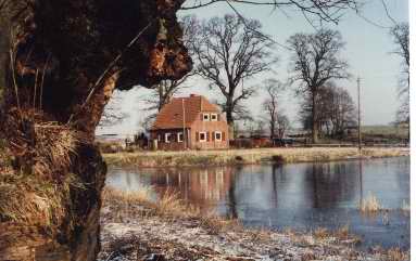img002.jpg