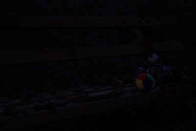 im_wald0001_1.JPG