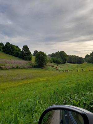 20250527_073046.jpg