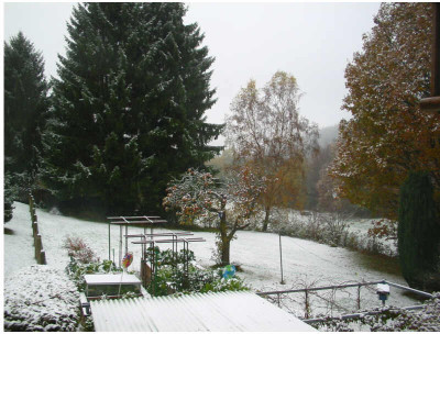 Schnee_30.10.08.jpg