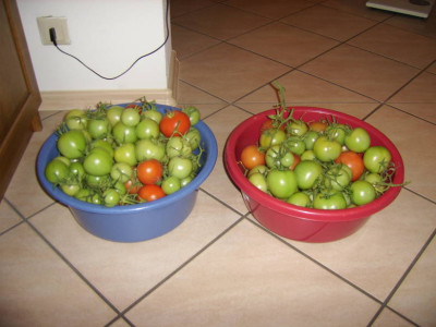 30.10.2008.JPG