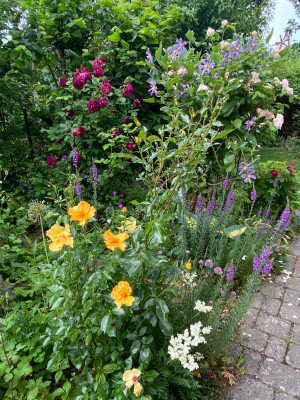 IMG_1548.jpeg