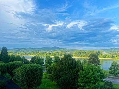 IMG_4338_1000px.jpg