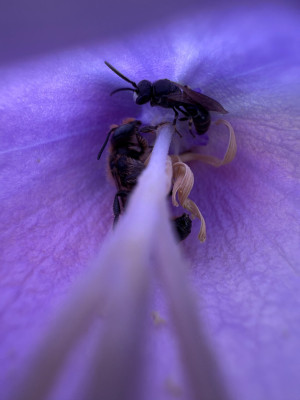 IMG_6039.jpeg