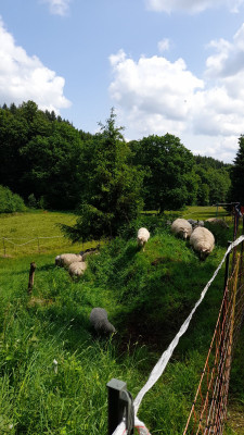 IMG-20250602-WA0003.jpeg