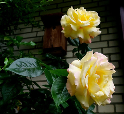 20250601_145413.jpg