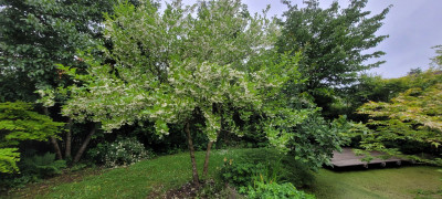 20250529_104635.jpg