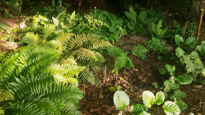 20250604_190140.jpg