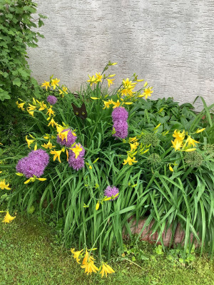 IMG_0583.jpeg