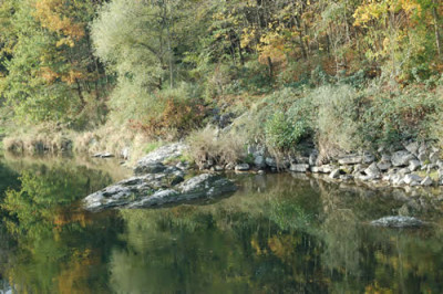 Aare_mit_Stein_0010__41086.jpg